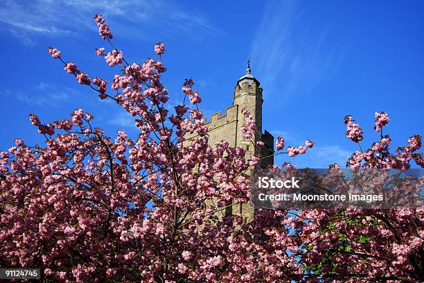 Churchyard Blossoms Stock Photo - Download Image Now - Architecture, Blossom, Blue