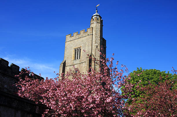 St Nicholas Church in Sevenoaks, England  norman uk tree sunlight stock pictures, royalty-free photos & images