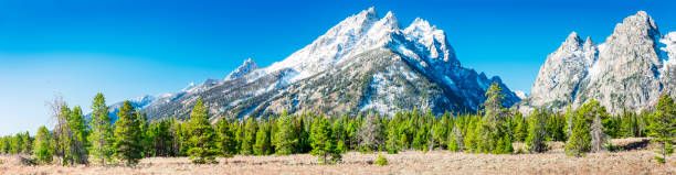 istock Grand Teton National Park 911252546