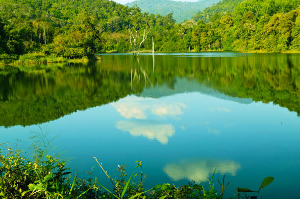 istock Environment in the reservoir. 911252870