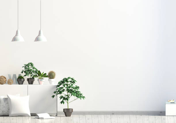 istock Modern interior with rack, plant and pillow. Wall mock up. 3d illustration 911253116