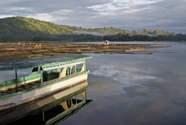 istock Dawn at Lake Sebu 911253204