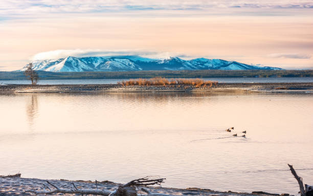 istock Yellowstone National Park 911253206