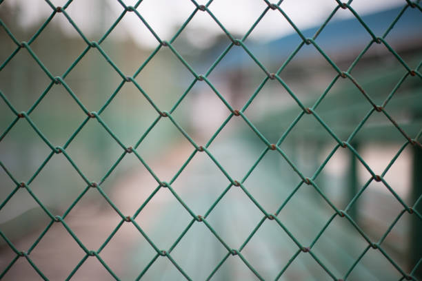 istock Green metal mesh fence 911253212