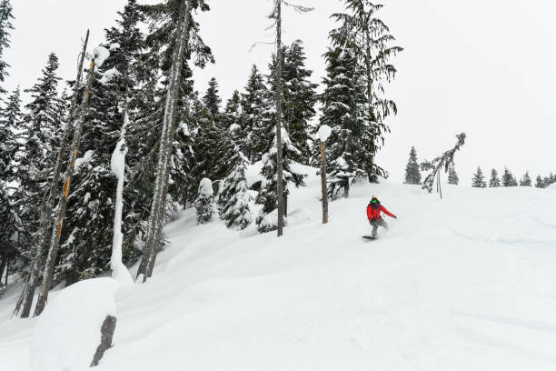 istock Woman snowboarding fresh powder 911263046
