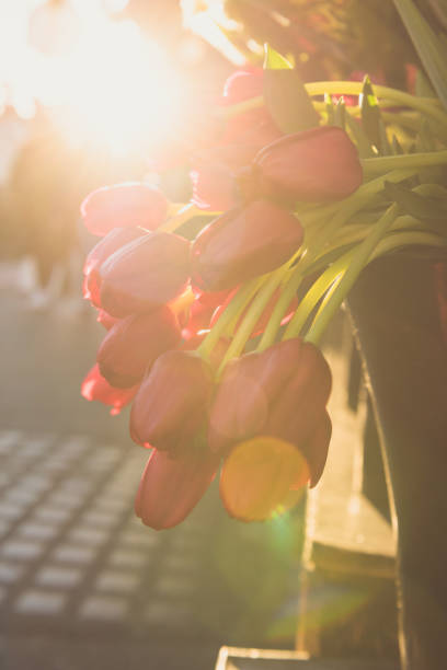 tulipani - for sale industry farmers market market stall foto e immagini stock