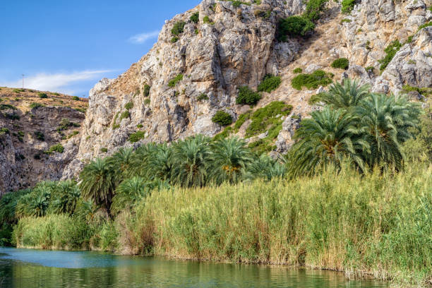 istock Palm trees at Preveli - Crete, Greece 911278736