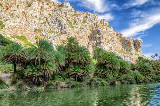 istock Palm trees at Preveli - Crete, Greece 911278818