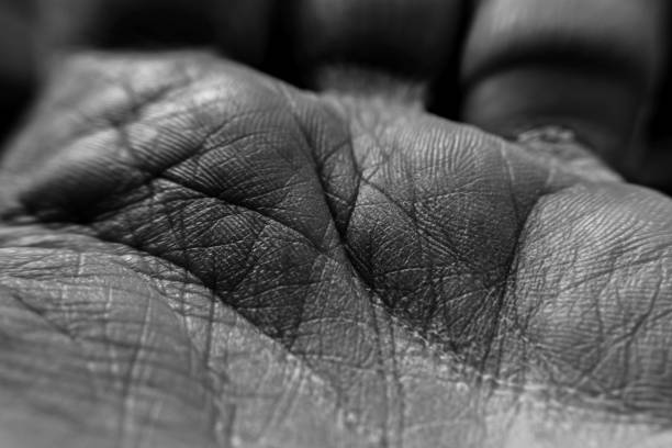 Macro image of the skin on the front or palm of an old male hand showing the wrinkles and veins that come with old age