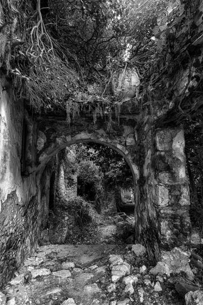 istock Ruins of house in forest 911281462