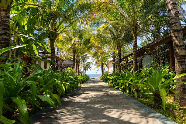 istock Beautiful tropical place in Vietnam 911281652