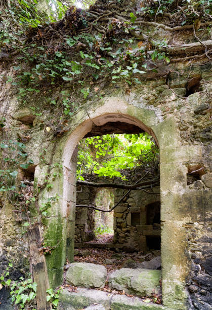 istock Ruins of house in forest 911281684
