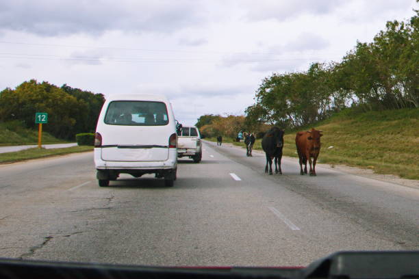 istock Traffic on a highway in Cuba 911281690
