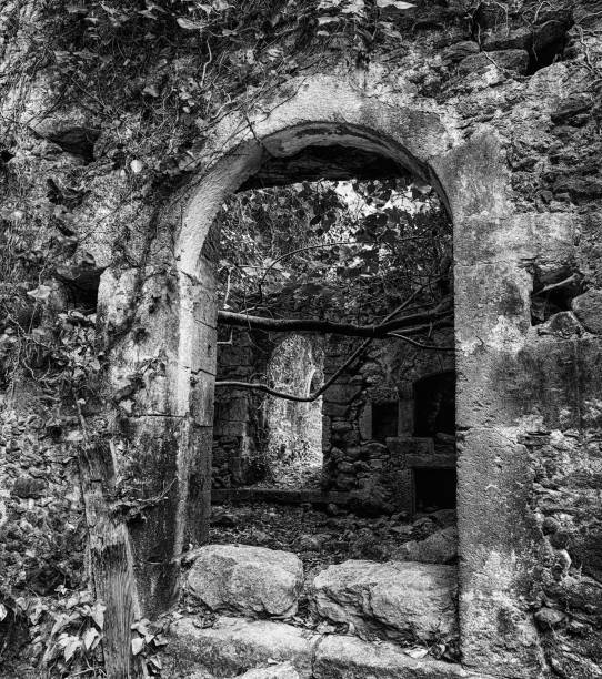istock Ruins of house in forest 911281946