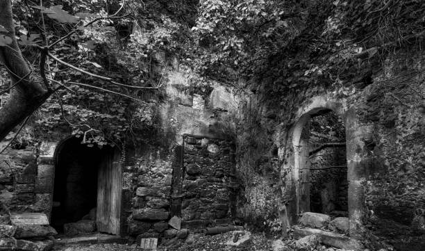 istock Ruins of house in forest 911281978