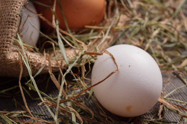 istock Rural eggs in jute bag with scattered hay around. 911284318