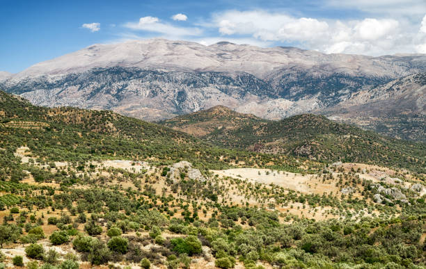 istock Typical Cretan country, Greece 911284450