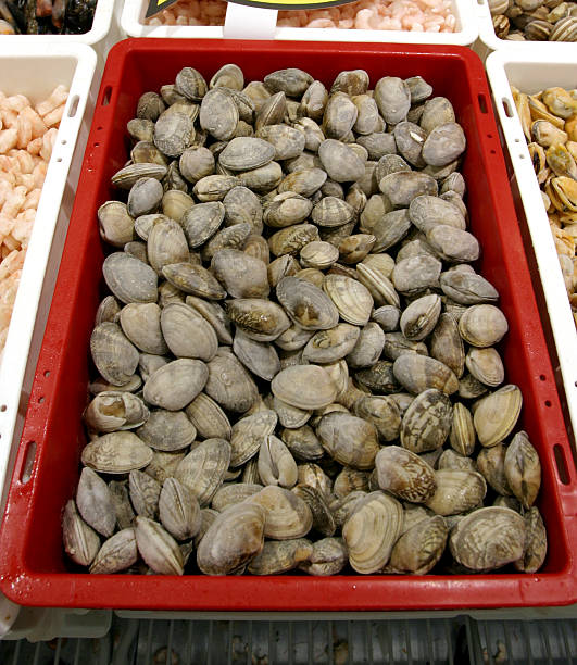 istock Cherrystone Clams Barcelona Spain 91129475