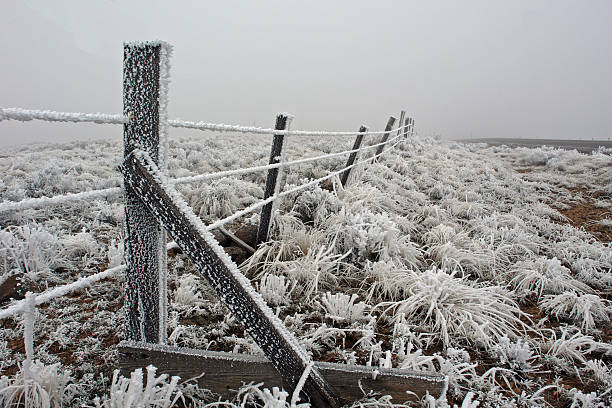Sagebrush and Barbed Wire stock photo