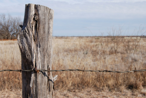 Outback corner fence post, old wooden handmade, rustic rural South Australia, hot and dry summer. Australian farming landscape.