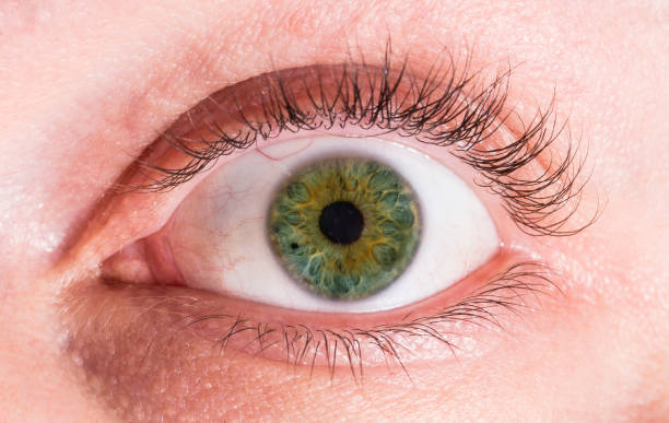 zbliżenie zielonego oka - human eye men close up macro zdjęcia i obrazy z banku zdjęć