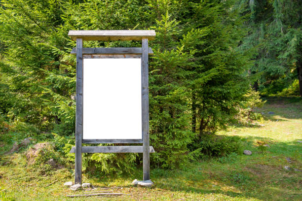 istock Blank sign board in the park 911302804