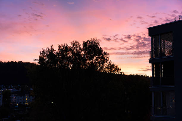 istock red violet sunset sky with house and tree 911306522