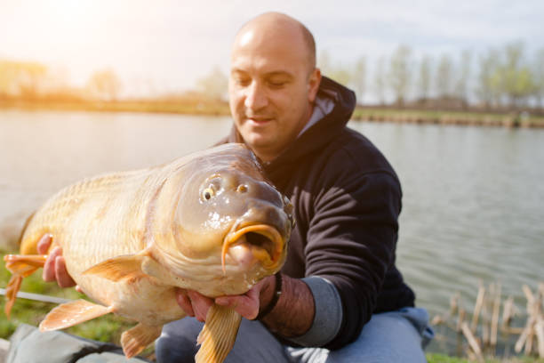 istock Fisherman catched a trofy carp 911310650