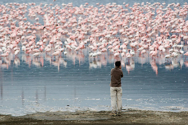 istock Safari Photography 91131248