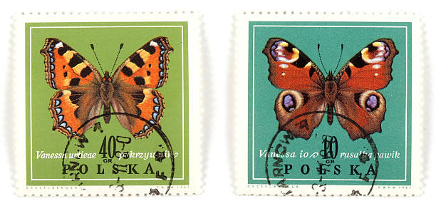 istock Polish set of stamps - butterfly 91131308