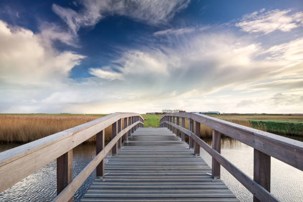istock wooden bridge via river and blue sky 911321118