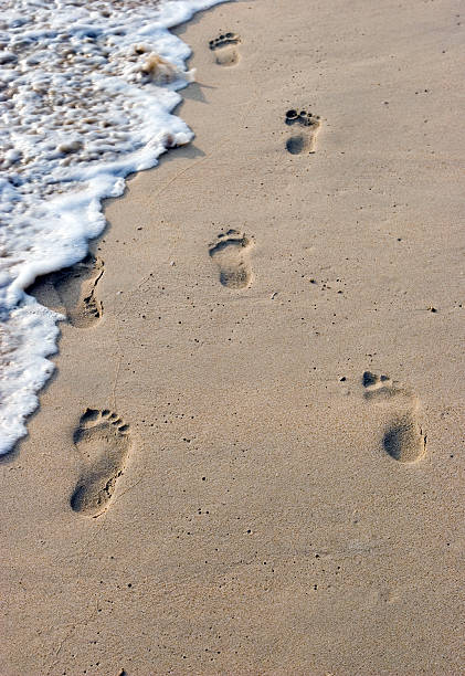 istock footprints of two on the sand 91132185