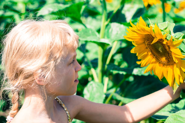 istock child and sunflower 911321956