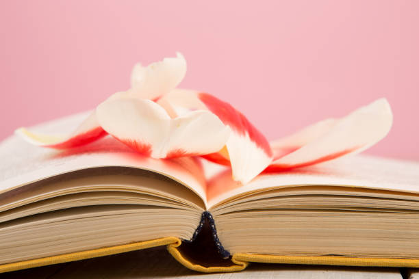 istock education and reading concept - open book with flower leafs 911322880