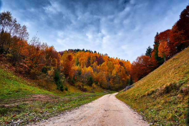istock autumn country road 911325860