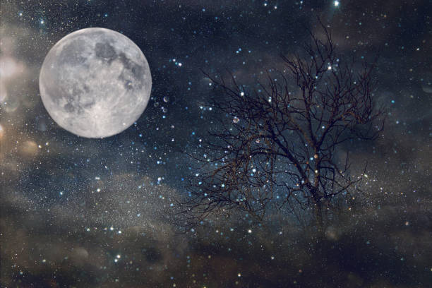 istock Surreal fantasy concept - lonely tree with bare branches and full moon with stars glitter in night skies background. Vintage style filtered image. 911325950