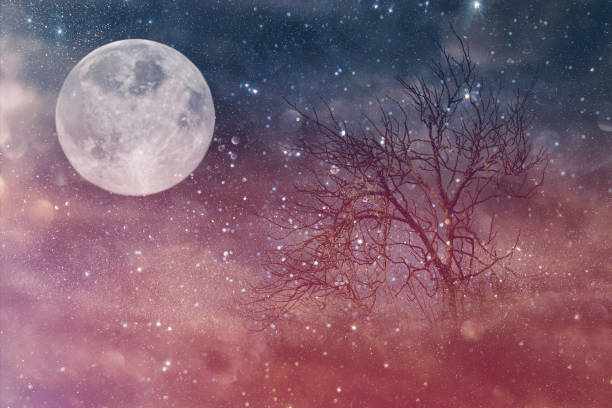 istock Surreal fantasy concept - lonely tree with bare branches and full moon with stars glitter in night skies background. Vintage style filtered image. 911325978