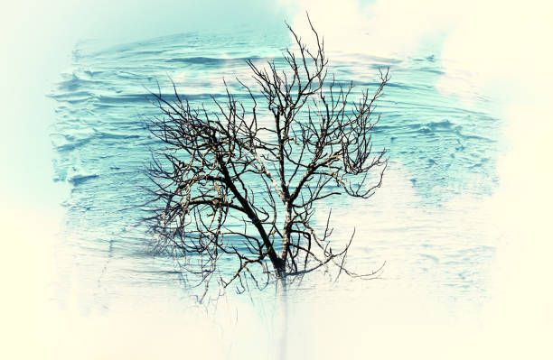 dreamy and abstract image of the bare branches at the forest, against sky. double exposure effect with watercolor brush stroke texture.