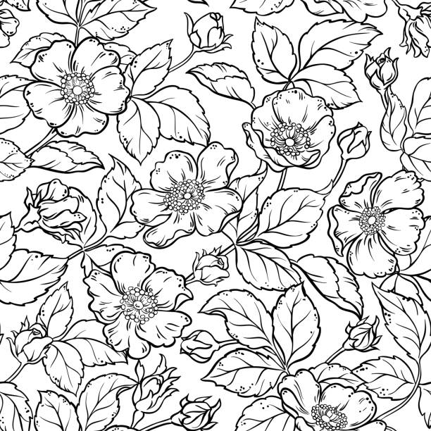 wild rose flowers seamless pattern wild rose flowers seamless pattern on white background wild rose hip stock illustrations