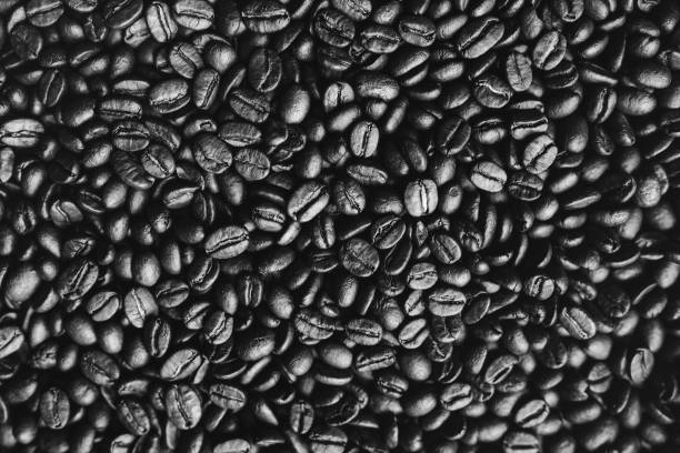 istock Roasted coffee beans background. Abstract texture pattern. Black and white photo 911341558