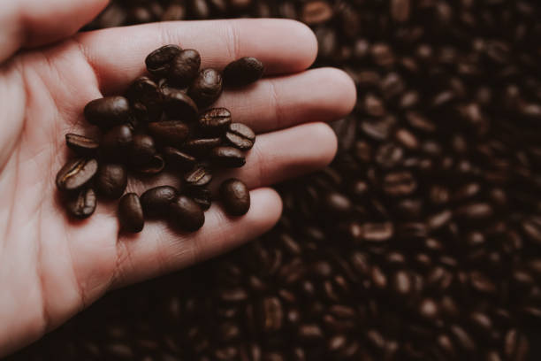 istock Roasted coffee beans in human hand. Abstract background 911341652