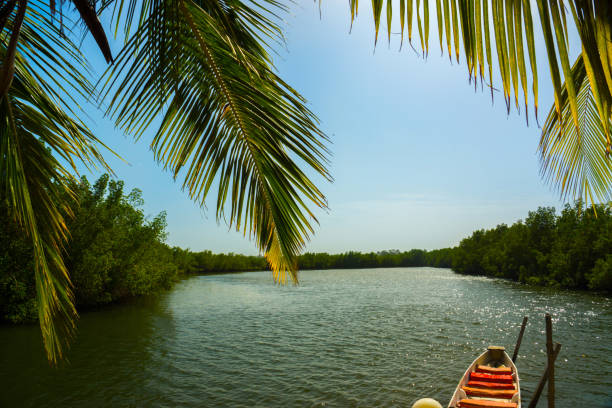 A canoe on the River Gambia near Makasutu Forst in Gambia, West Africa
