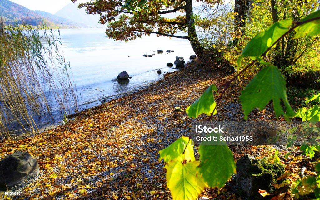 light-flooded shore from the mountain lake Polarizing filter + lens hood Autumn Stock Photo