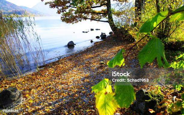 Lightflooded Shore From The Mountain Lake Stock Photo - Download Image Now - Autumn, Autumn Leaf Color, Bavaria