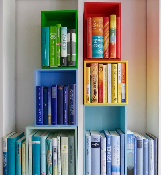 istock Colorful library book shelves packed with books 911352472