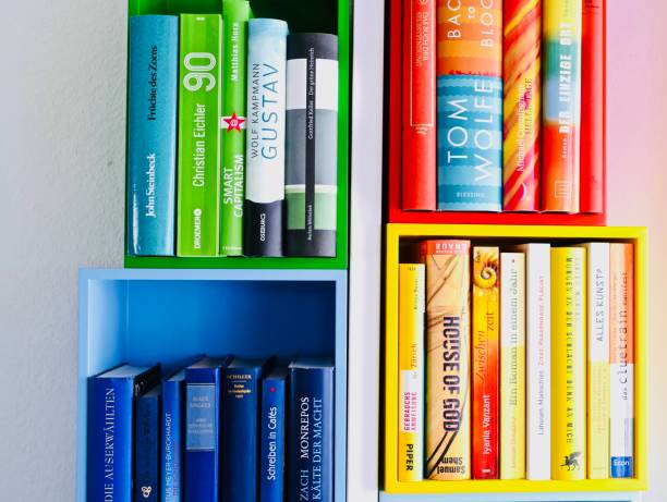 istock Colorful library book shelves packed with books 911352508