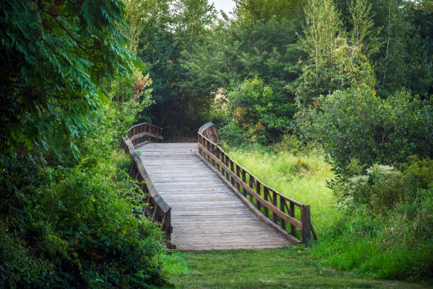 istock Wooden Bridge Over Meadow 911358878