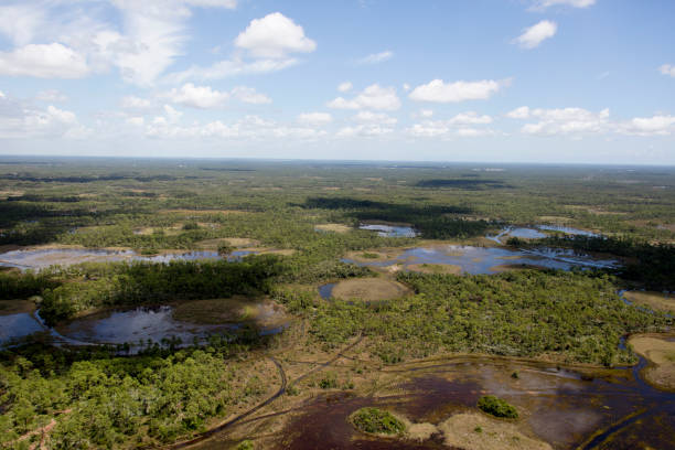 istock Aerial Everglades National Park 911359820