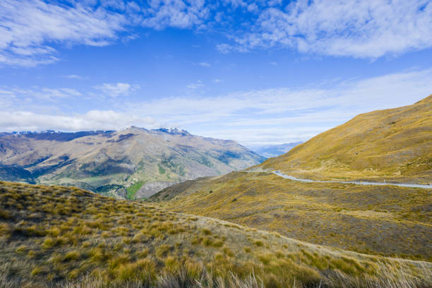 istock Valley is covered with brown grass in New Zealand 911366102
