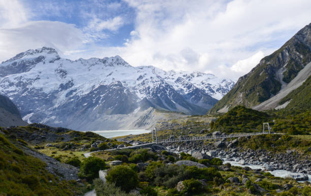 ponte de suspensão para o mt cook - new zealand forest landscape mountain - fotografias e filmes do acervo